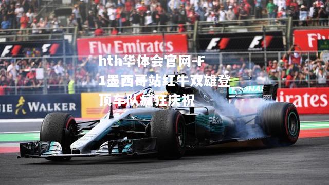 F1墨西哥站红牛双雄登顶车队疯狂庆祝