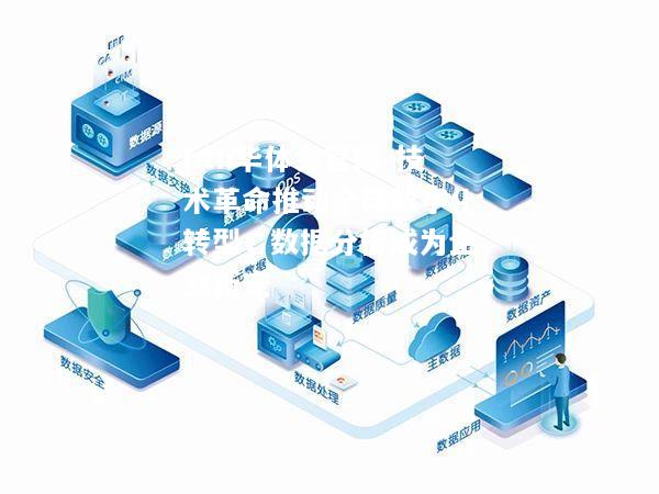 技术革命推动全球数字化转型，数据分析成为企业新宠